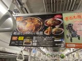 第47回名古屋ミネラルショーへ出展いたしました