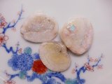 🐚シェルオパールを3点アップしました