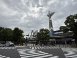 ミネラルザワールドin横浜2026夏へ出展いたしました