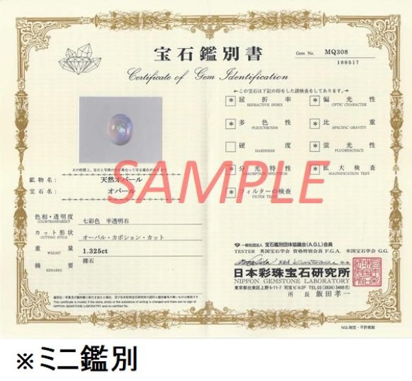 鑑別書