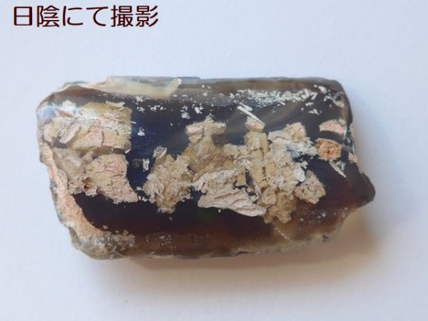 ウッドオパール｜珪化木｜オパールした化石