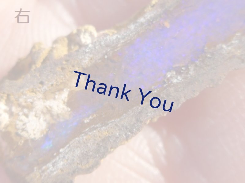 画像35: ボルダーオパール スプリット （パイプオパール） (35)