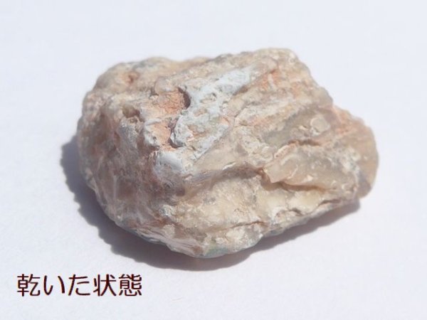 ウッドオパール｜珪化木｜オパールした化石