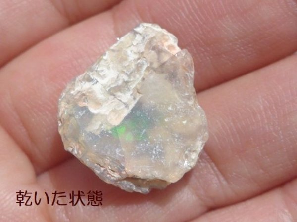 ウッドオパール｜珪化木｜オパールした化石