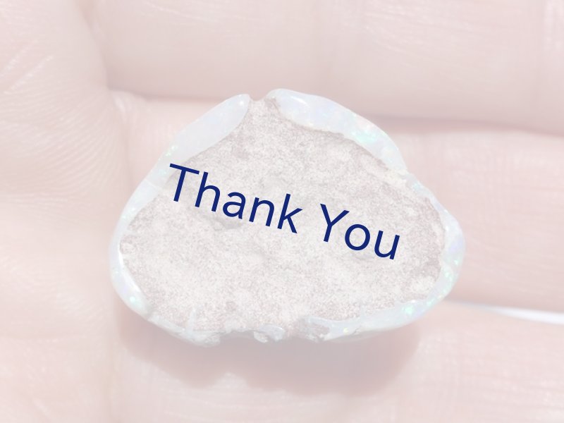 画像26: シェルオパール (26)