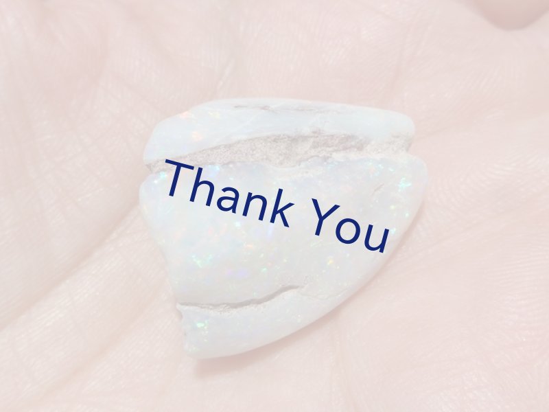 画像11: シェルオパール (11)