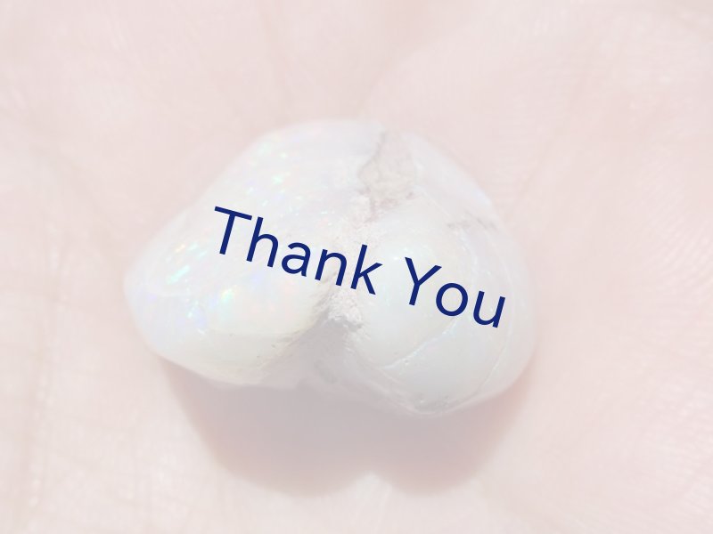 画像25: シェルオパール (25)