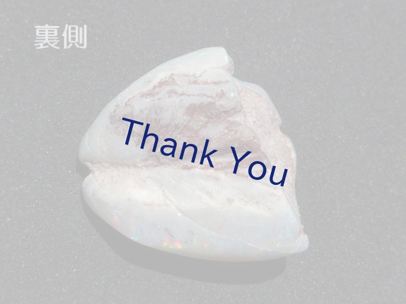 画像20: シェルオパール (20)