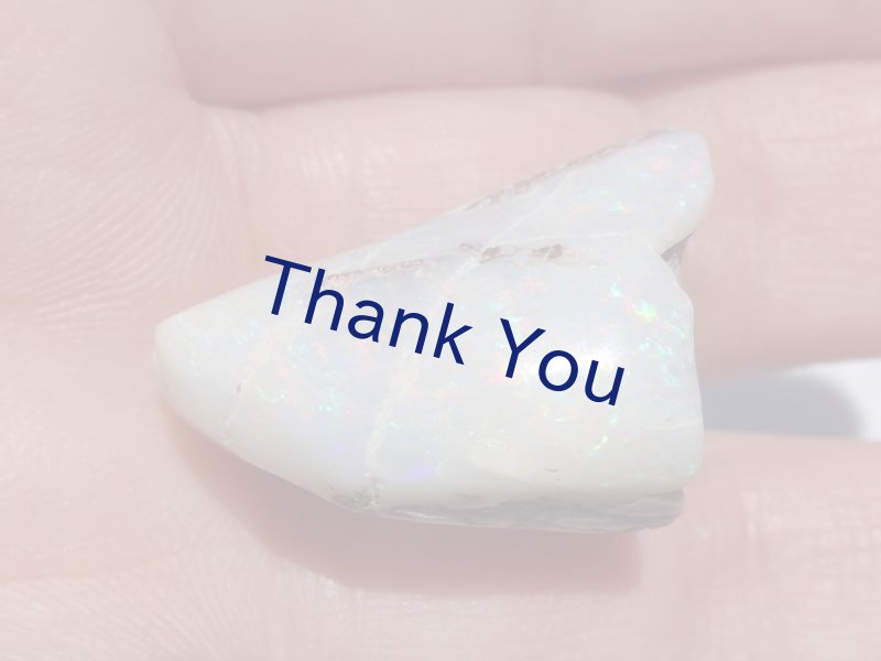 画像23: シェルオパール (23)