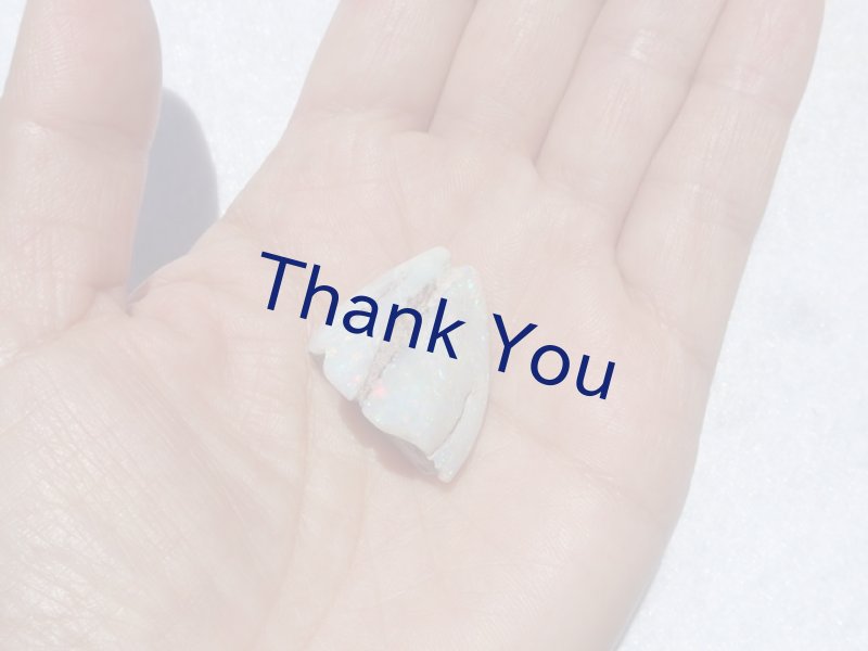 画像10: シェルオパール (10)