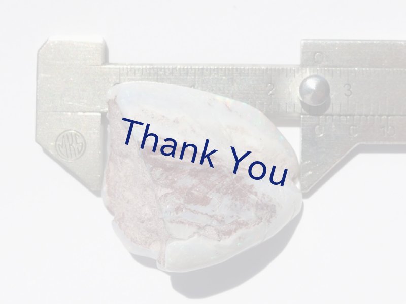 画像28: シェルオパール (28)