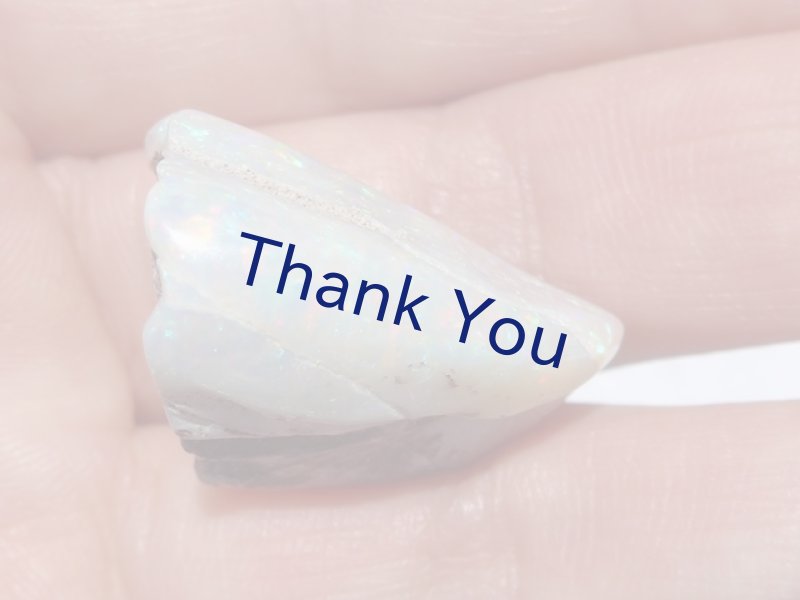 画像24: シェルオパール (24)