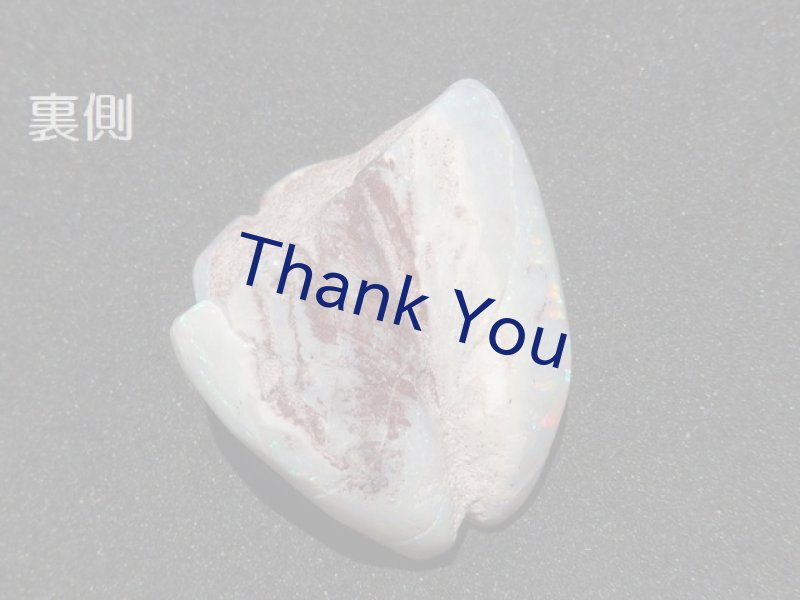 画像19: シェルオパール (19)