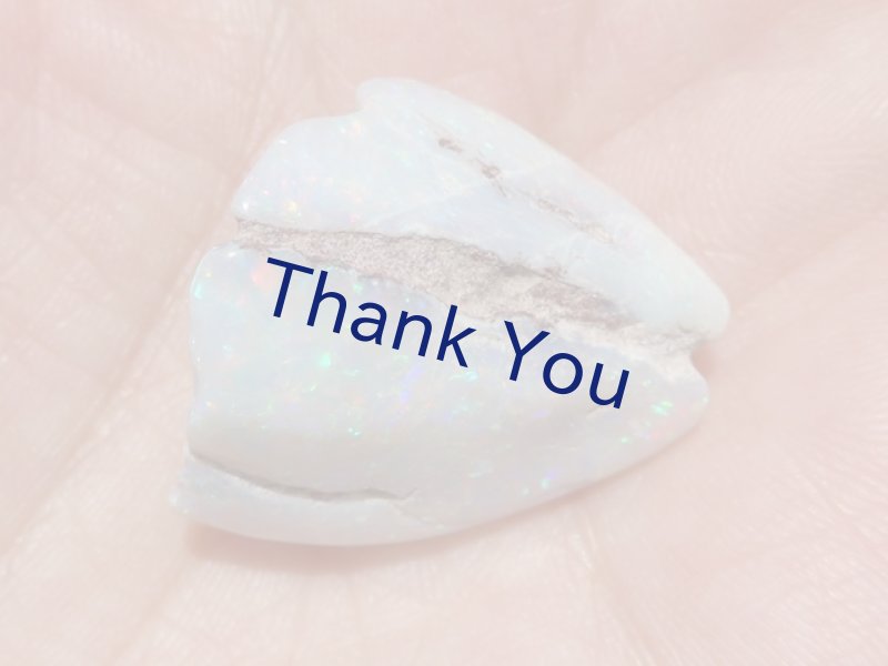 画像14: シェルオパール (14)