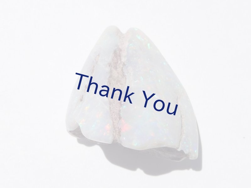 画像1: シェルオパール (1)