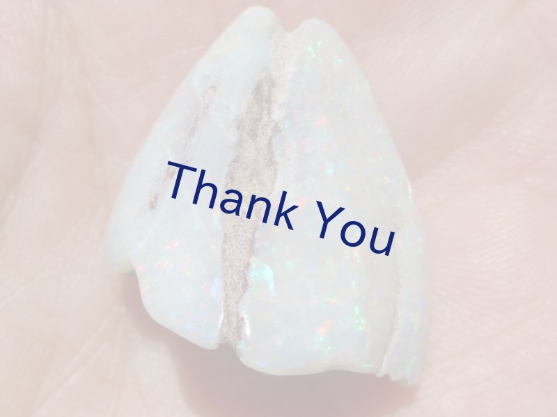 画像13: シェルオパール (13)