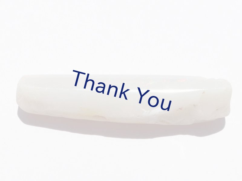 画像2: べレムナイト (2)