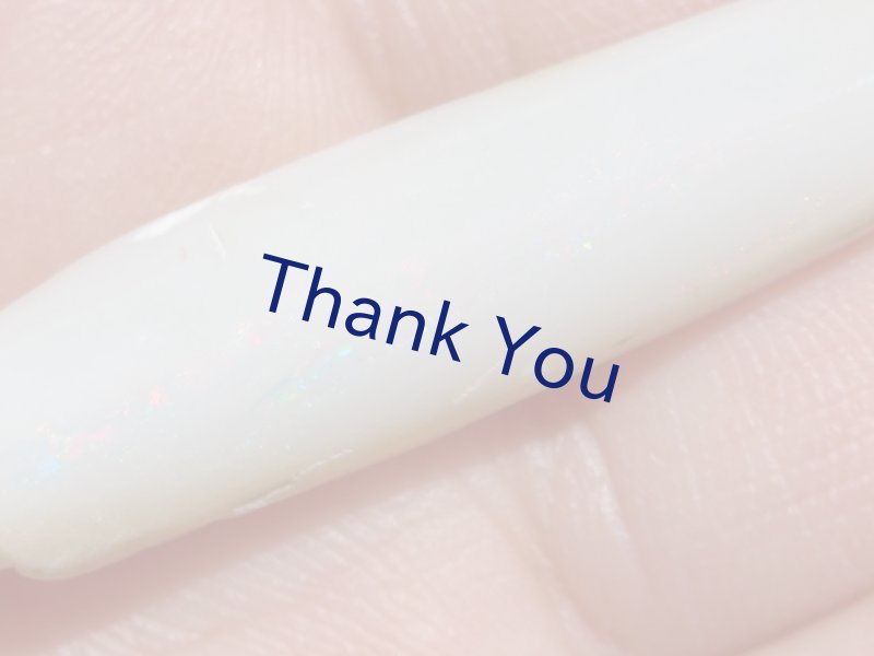 画像11: べレムナイト (11)