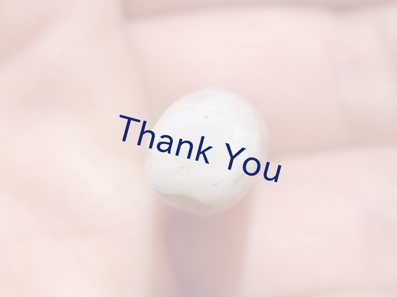 画像17: べレムナイト (17)