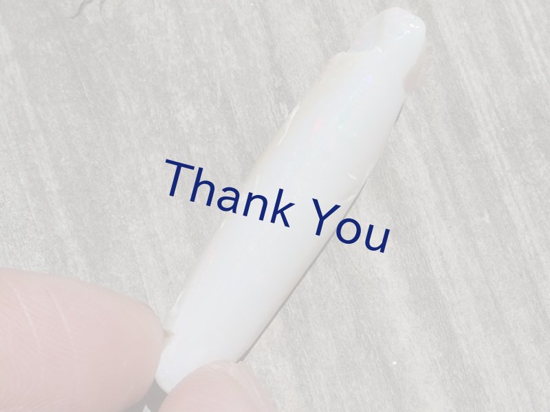 画像9: べレムナイト (9)