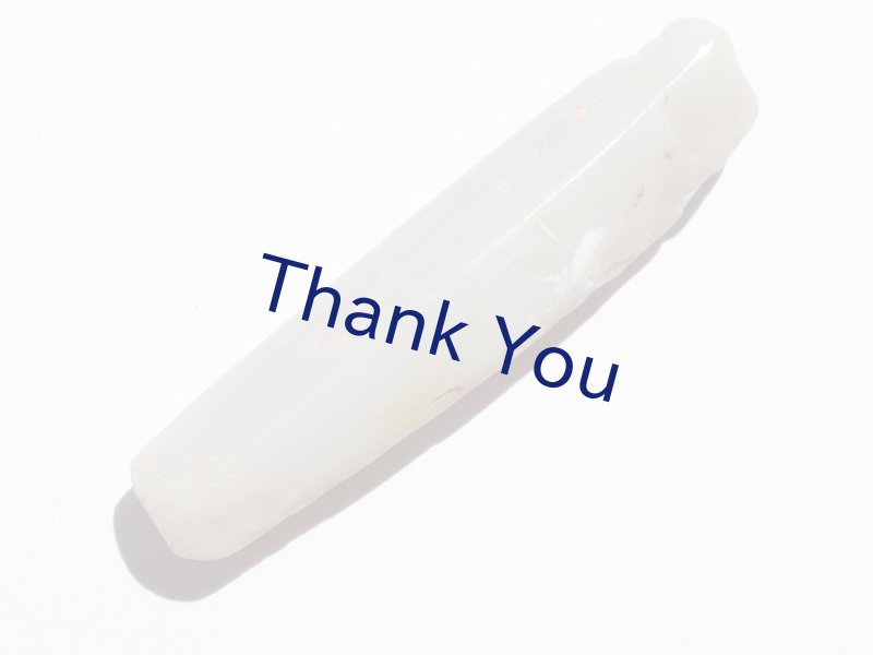 画像3: べレムナイト (3)