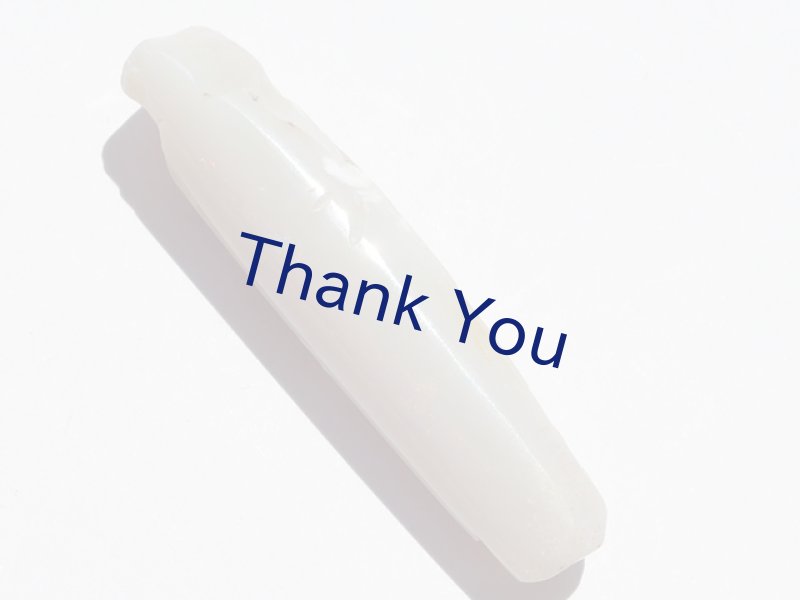 画像5: べレムナイト (5)