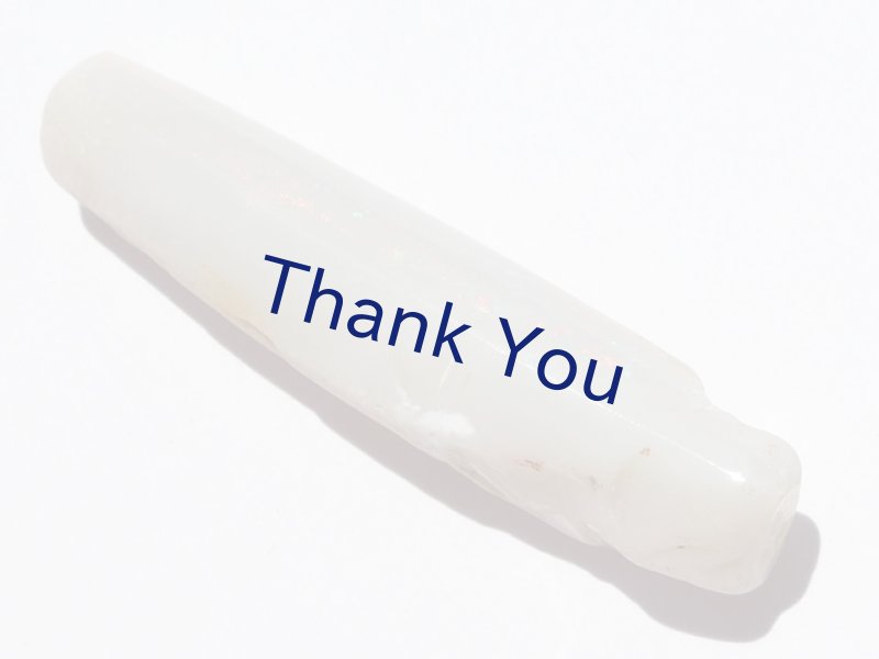 画像1: べレムナイト (1)