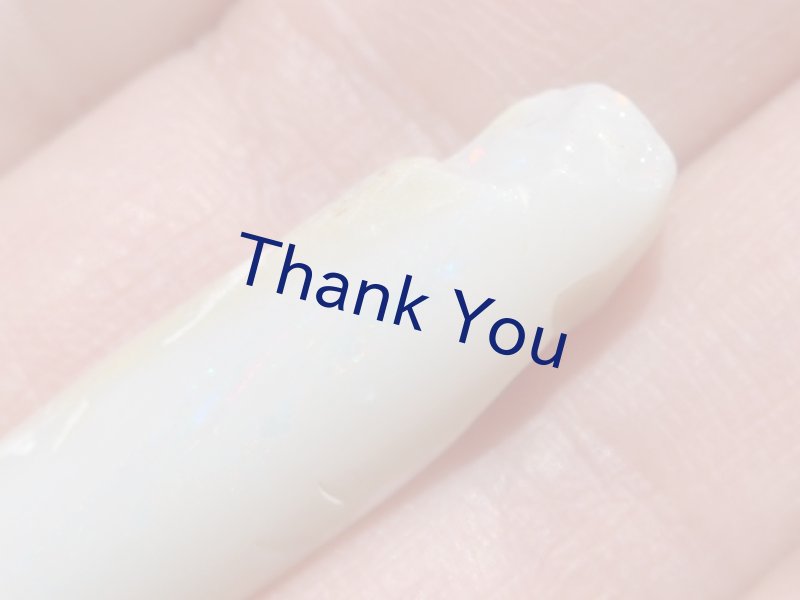 画像12: べレムナイト (12)