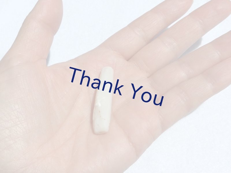 画像10: べレムナイト (10)