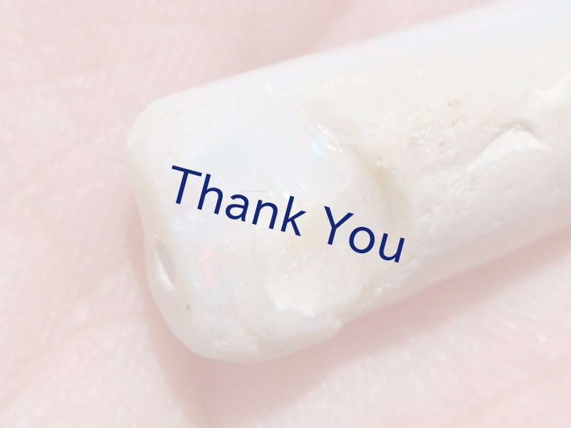 画像14: べレムナイト (14)