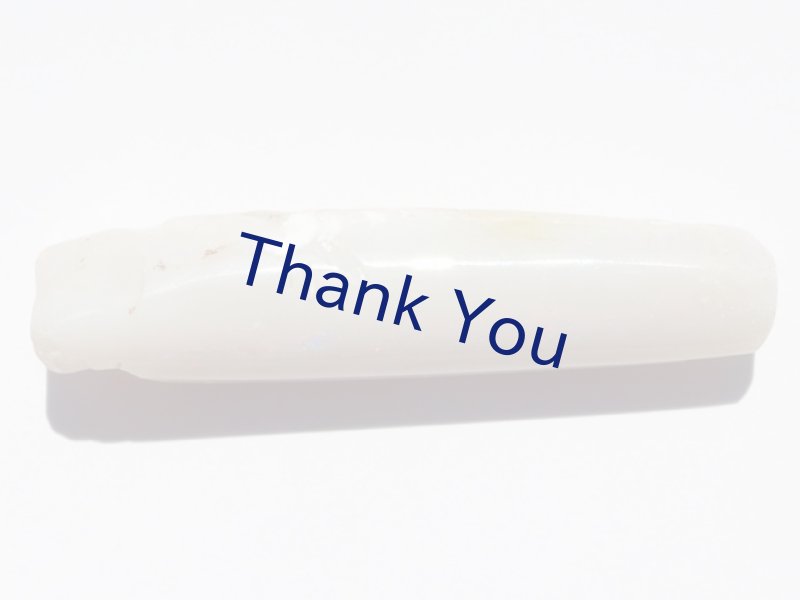 画像6: べレムナイト (6)