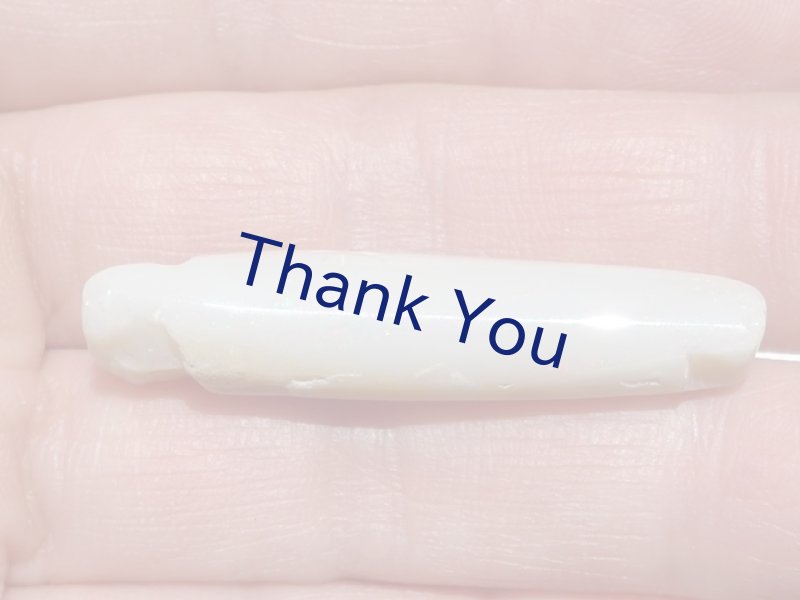 画像19: べレムナイト (19)