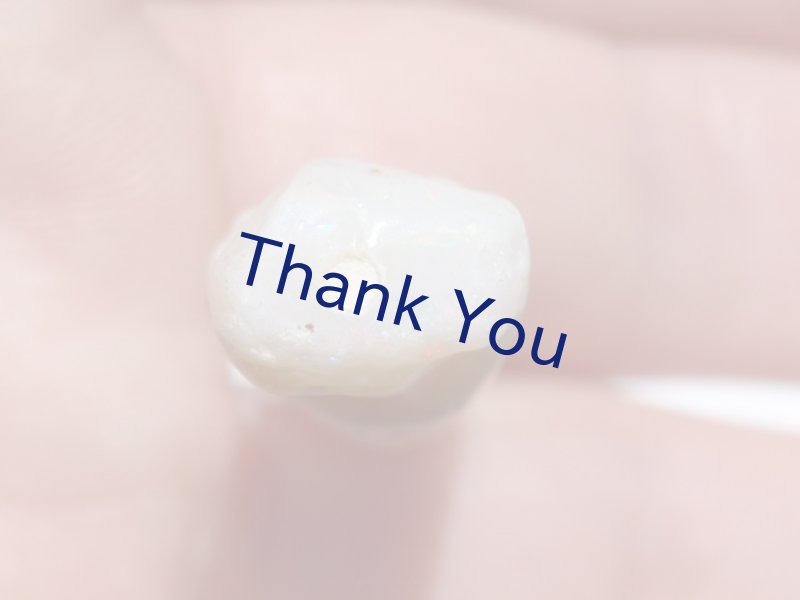 画像18: べレムナイト (18)