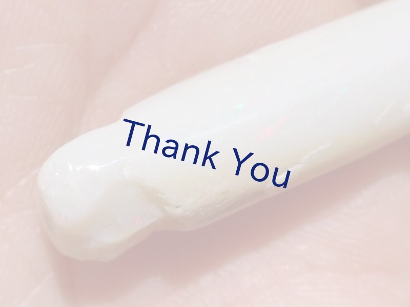 画像13: べレムナイト (13)