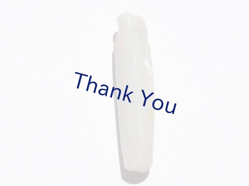 画像4: べレムナイト (4)