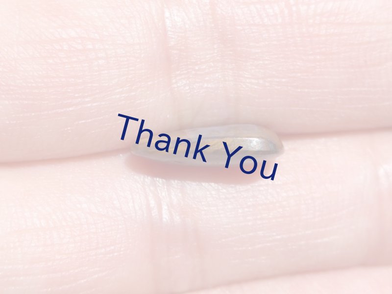 画像25: ボルダーオパール (25)