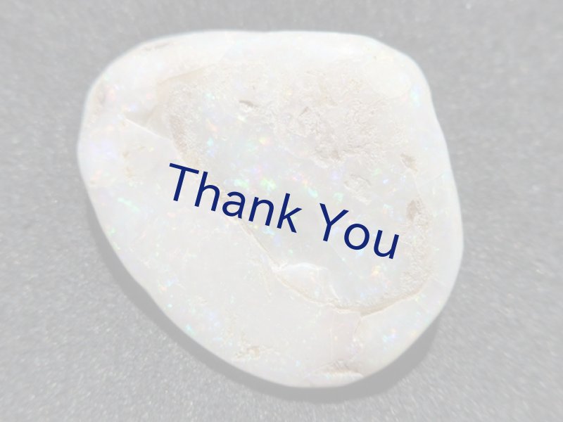 画像2: シェルオパール (2)