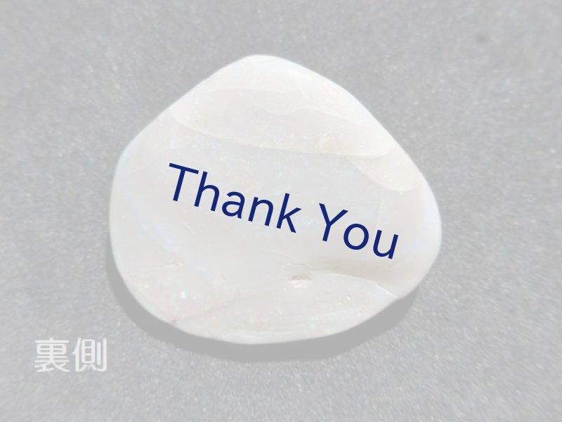 画像10: シェルオパール (10)