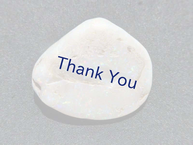 画像1: シェルオパール (1)