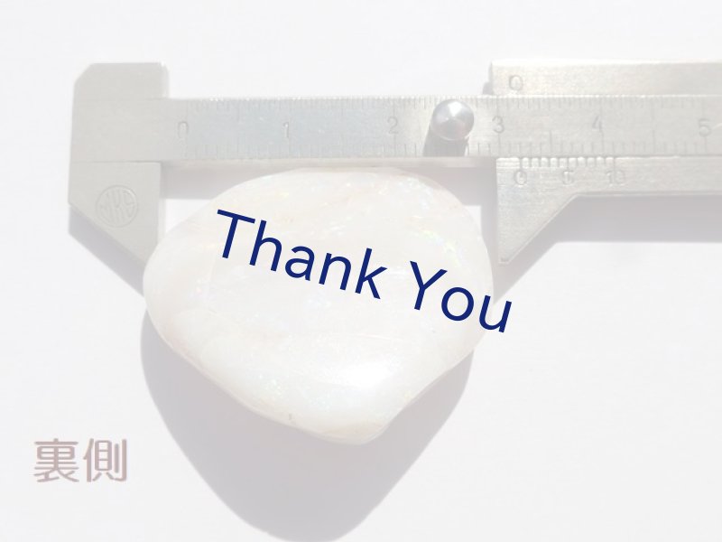 画像18: シェルオパール (18)