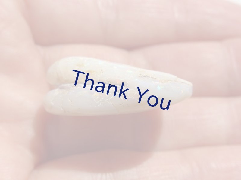 画像16: シェルオパール (16)