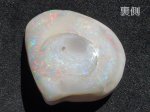 画像9: シェルオパール (9)