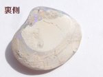 画像13: シェルオパール (13)