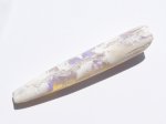 画像4: べレムナイト (4)