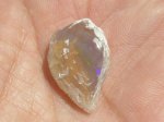 画像7: シェルオパール(ライトニングリッジ産) (7)