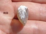 画像28: シェルオパール(ライトニングリッジ産) (28)