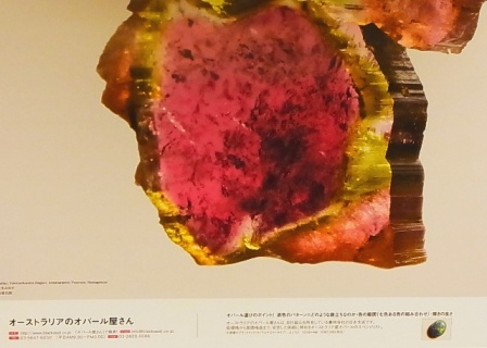 2013年東京ミネラルショーオリジナルカレンダー