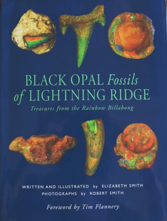 BLCK OPAL Fossils of LIGHTNING RIDGE