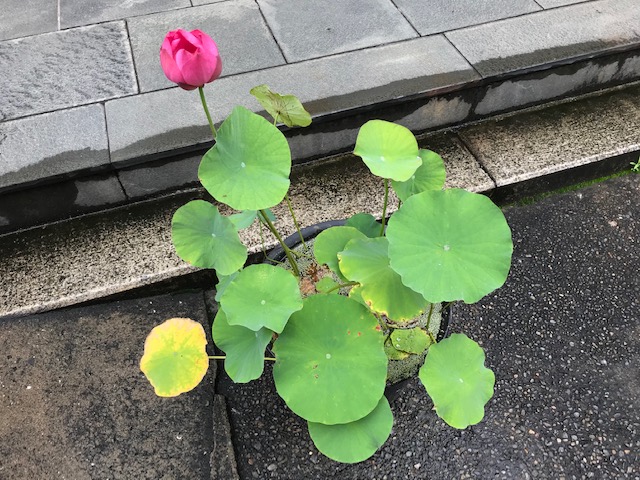 雨 ☔