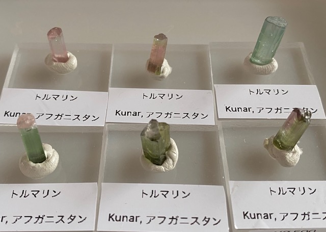 第8回ミネラルフェスタin東京へ出展いたしました